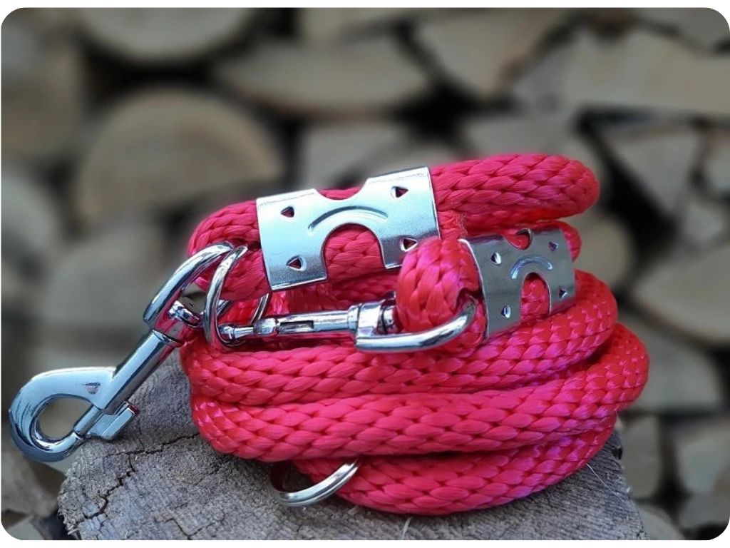 Červené vodítko pro psa